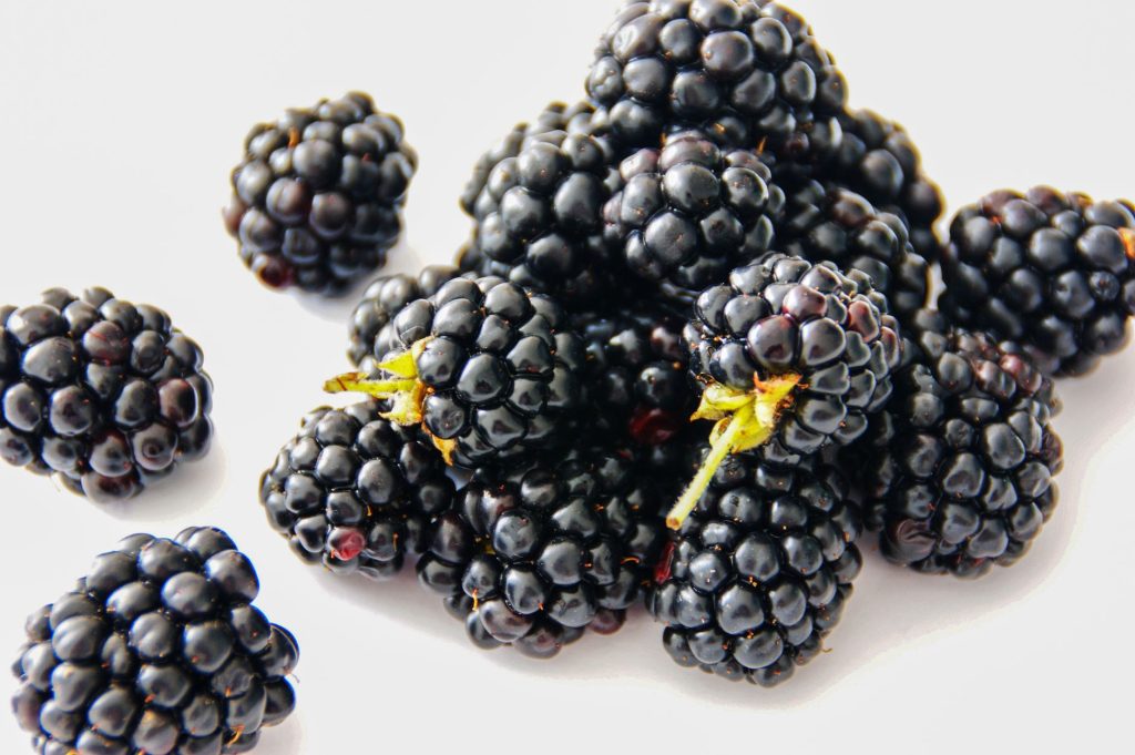 BlackBerry Q2 earnings